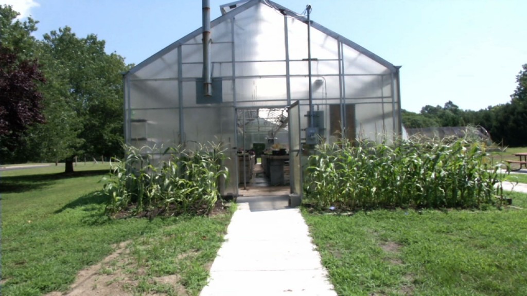 Spreading Sustainability in Gloucester Township