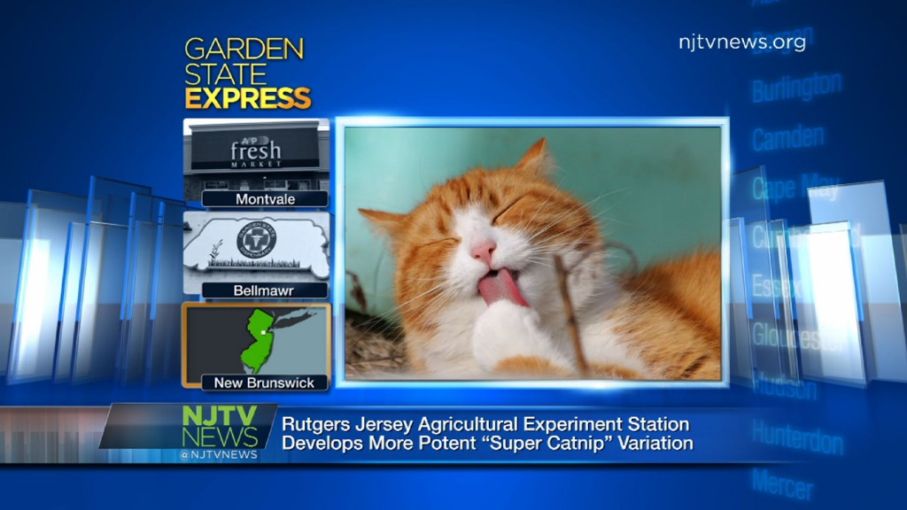 Sept. 22, 2015: GSX – NJTV News