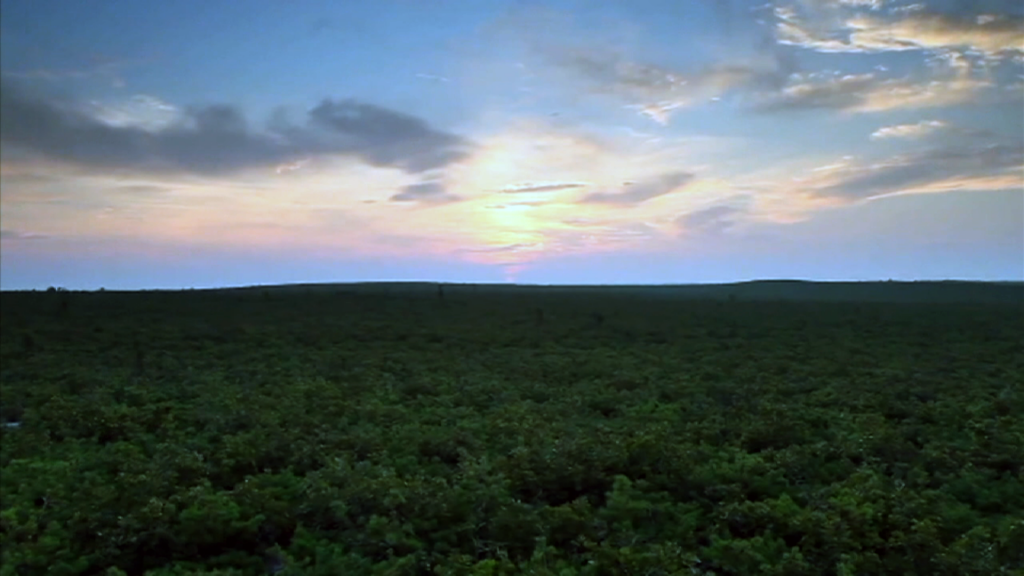 Natural Gas Pipeline Through the Pine Barrens One Step Closer To Being Built