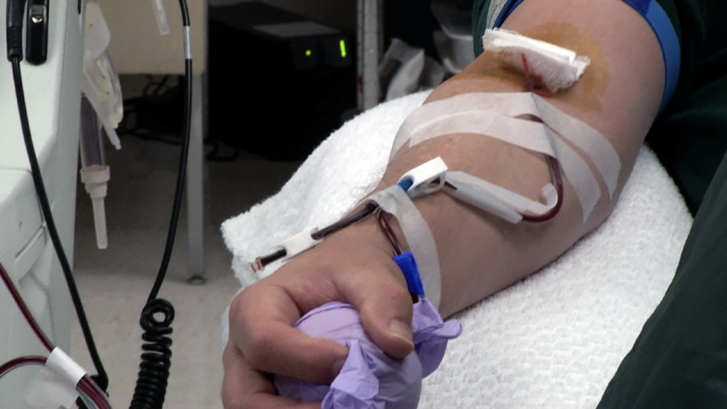 FDA Modifying Ban on Gay Blood Donations