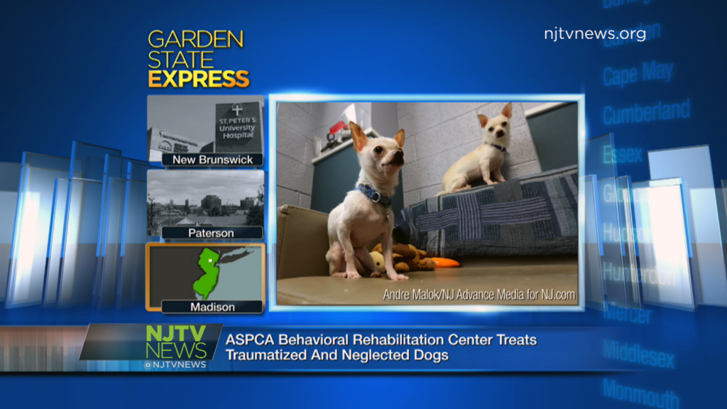 Dec. 25, 2015: Garden State Express