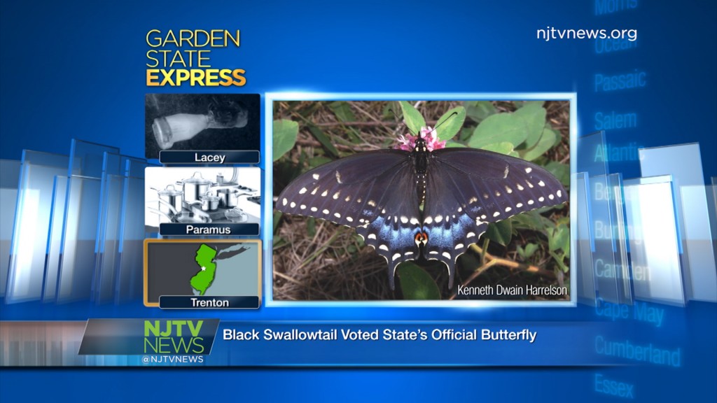 Dec. 30, 2015: Garden State Express