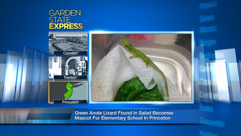 Jan. 26, 2016: Garden State Express