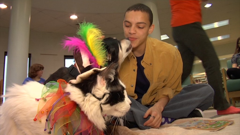 Pet Therapy Program Helps Students Work on Reading Skills