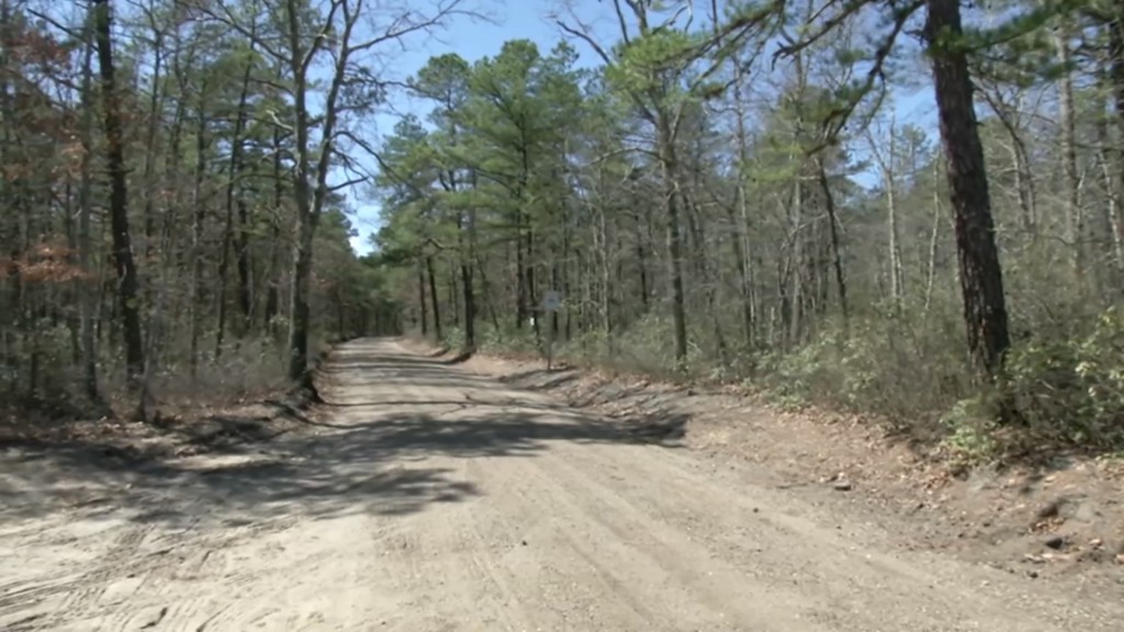 Environmentalists Fight Great Adventure’s Solar Site