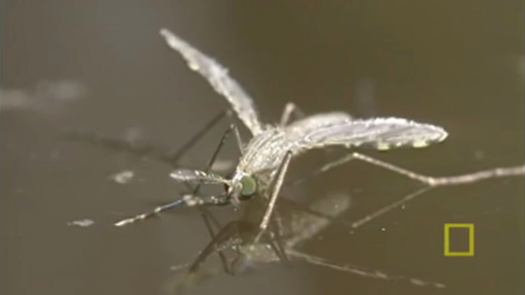 Discussing Ways to Deal with Zika Virus