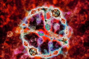 Can Biotechnology Provide the Cure for What Ails New Jersey’s Economy?