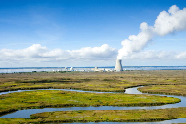 PSEG tells NRC it plans on renewing licenses for three South Jersey nuclear plants
