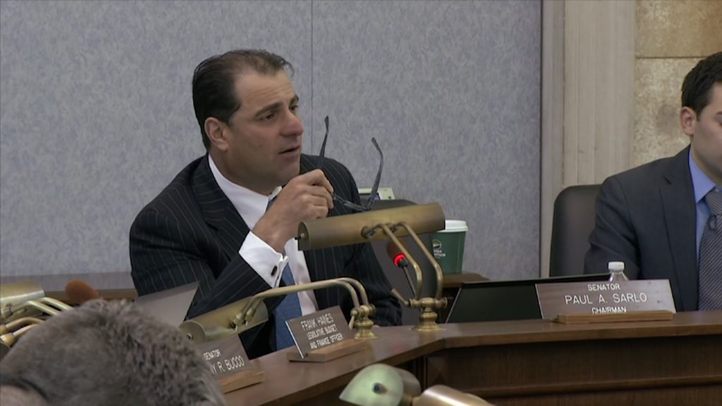 Senate Budget Committee Quizzes Acting Treasurer on State of State’s Pocketbook