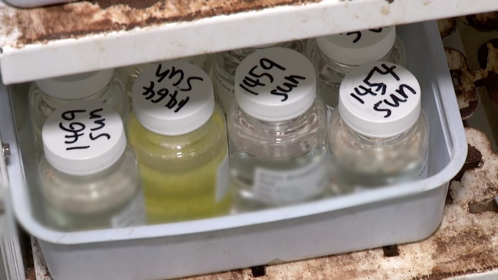 Many Pools Test Positive for Bacteria