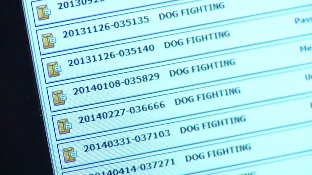 Proposed Bill Would Create Public Animal Abuser List