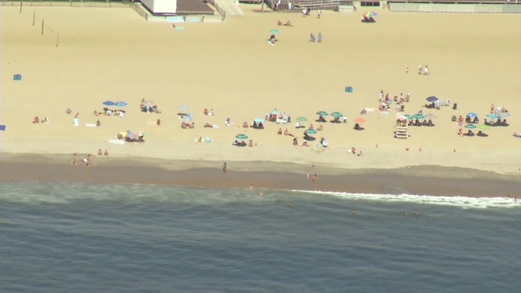Monitoring Water Quality at the Jersey Shore