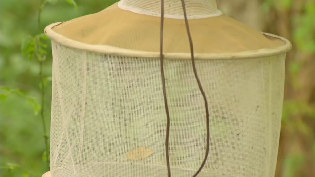 NJDEP Works to Control Mosquito Population