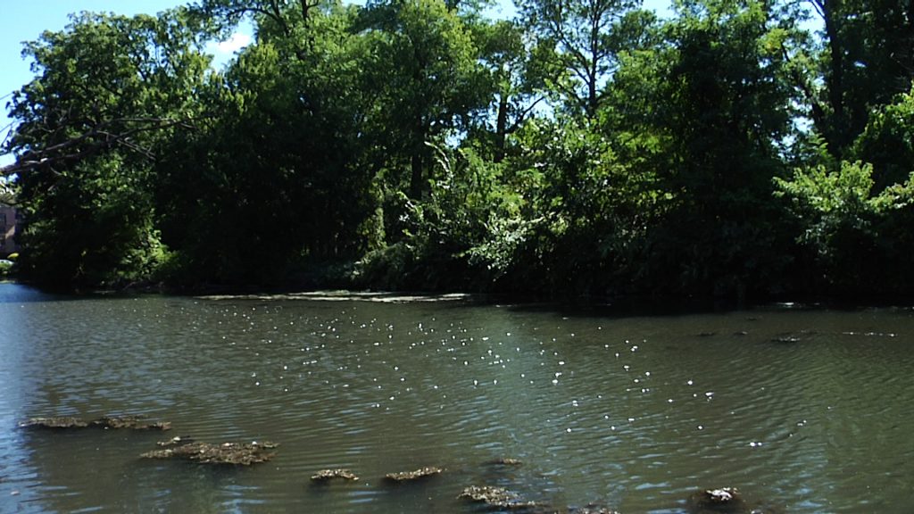 Officials Outline Flood Mitigation Plan for Rahway River Basin