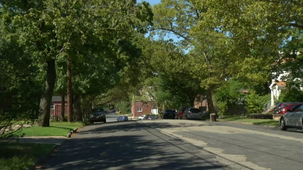 Municipalities Differ with Rules About Tree Removal