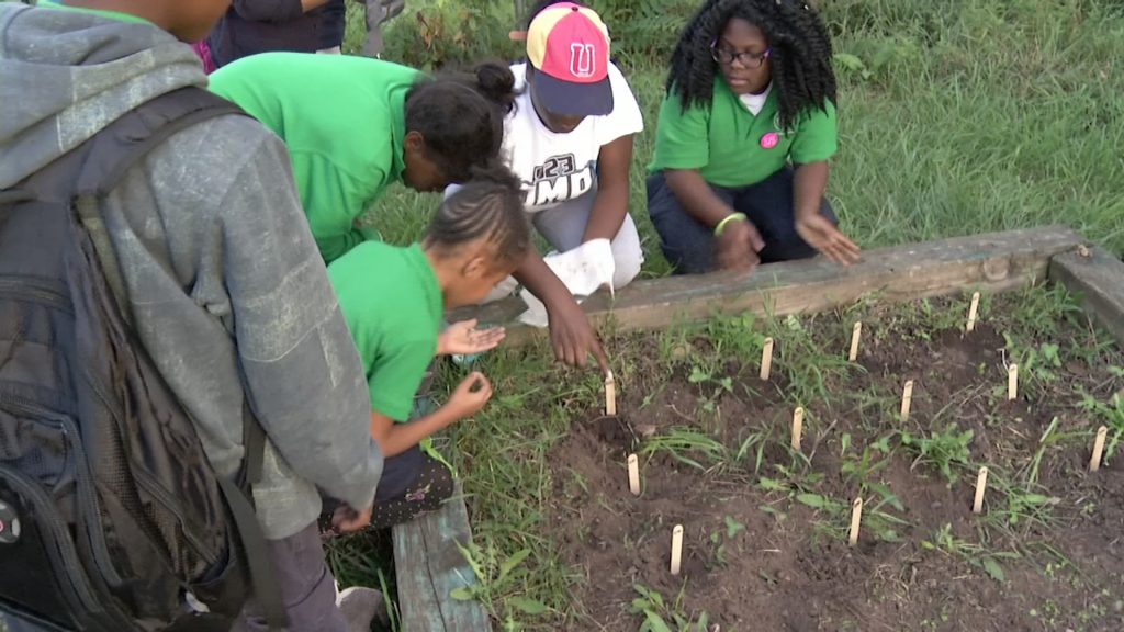 Boys and Girls Club of Newark Offers Positive Place for Kids