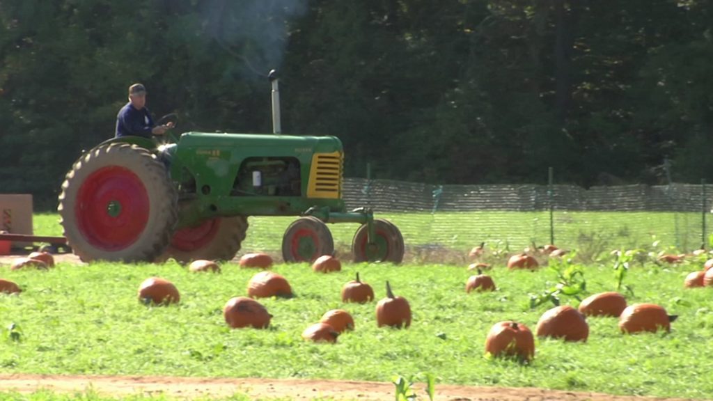 Picking Pumpkins and Apples at Von Thun Farms