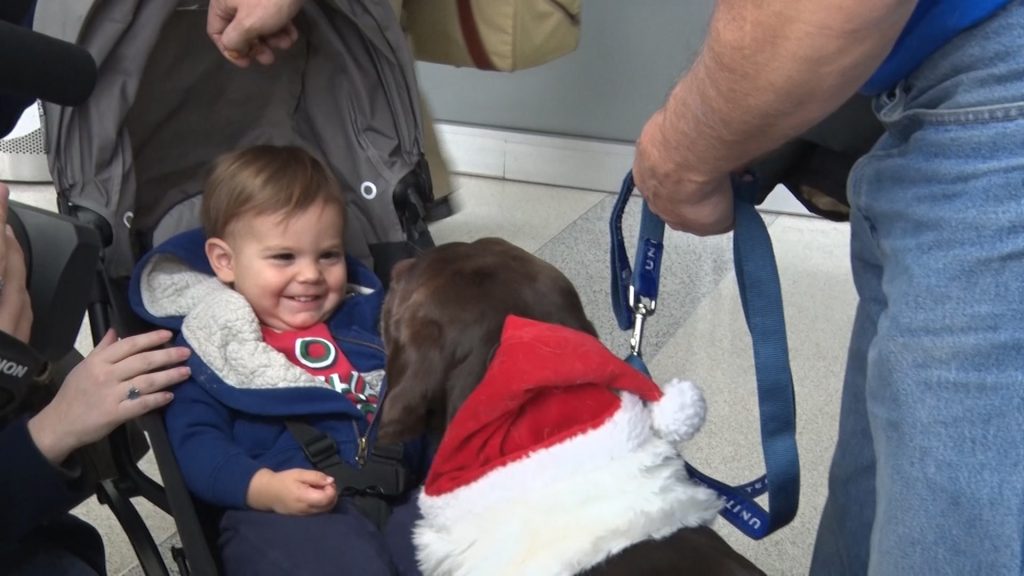 Therapy Dogs Calm Holiday Travelers at Newark Airport
