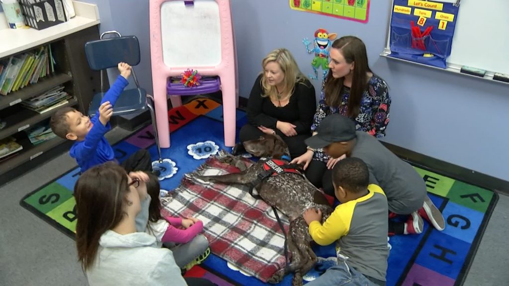 Special Education Schools Worried About DOE Proposals