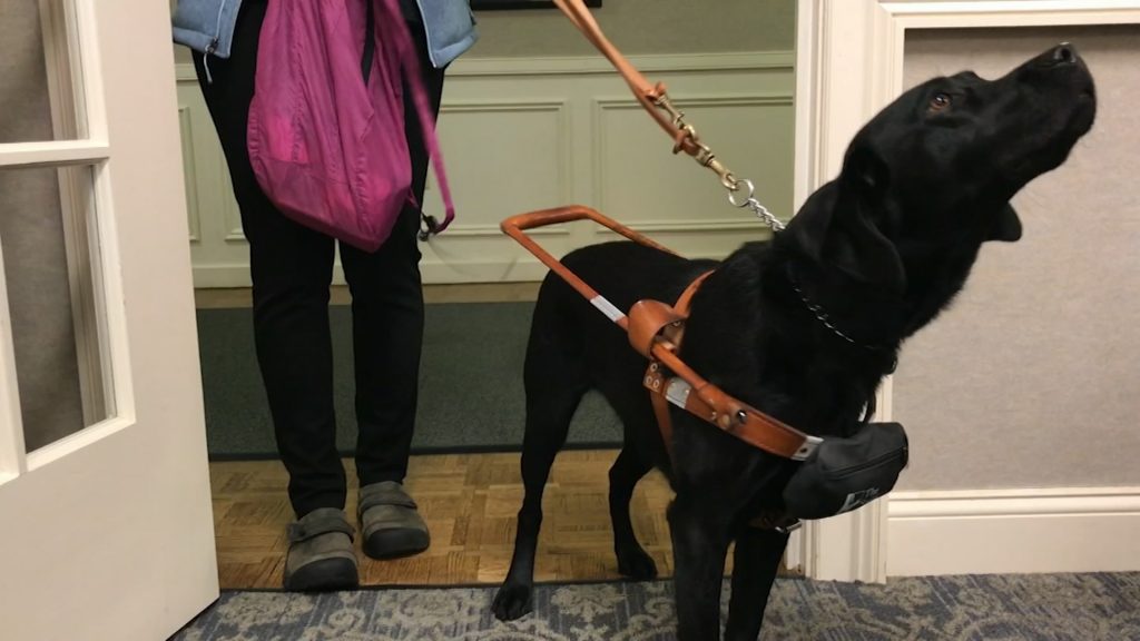 The Seeing Eye Celebrates 88 Years of Accessibility Work