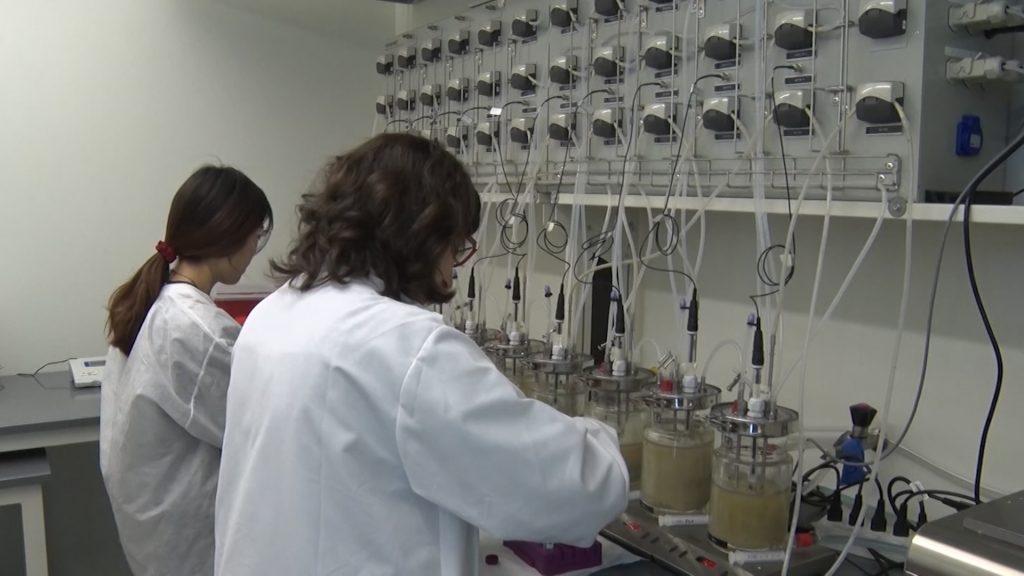Cutting-Edge Technology Helps Researchers Study Your Gut