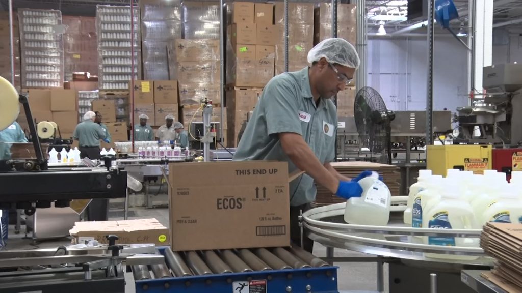 Making Eco-Friendly Products Can Also Be Profitable