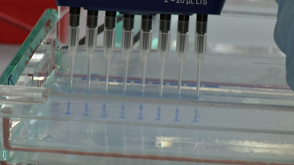 Rutgers scientists working on technology that could, literally, change the world
