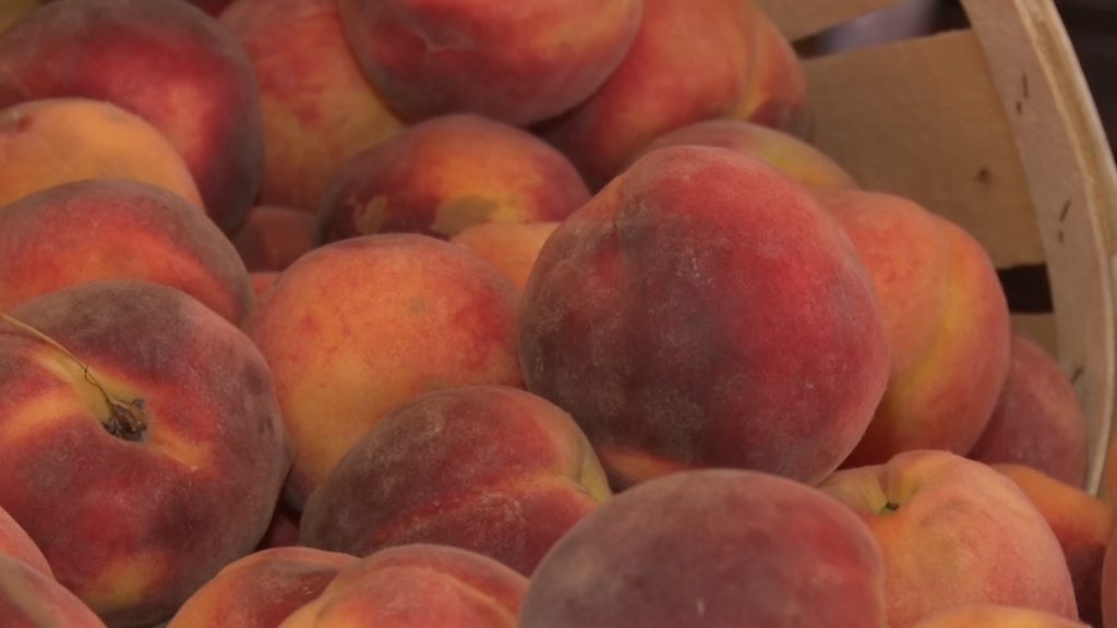 Garden State produces peaches ripe for picking