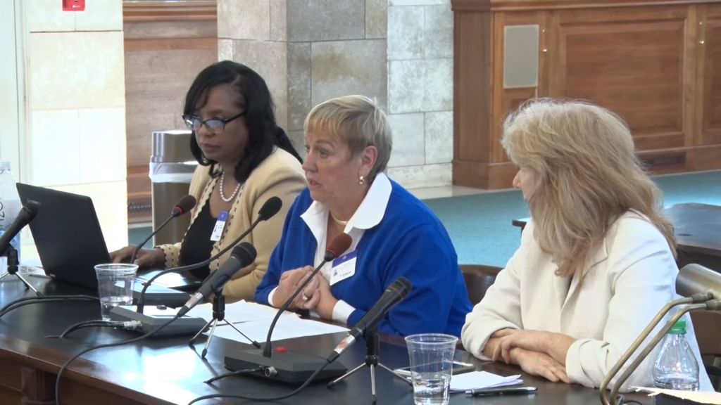 Senate testimony alleges ‘crisis’ at state nursing board