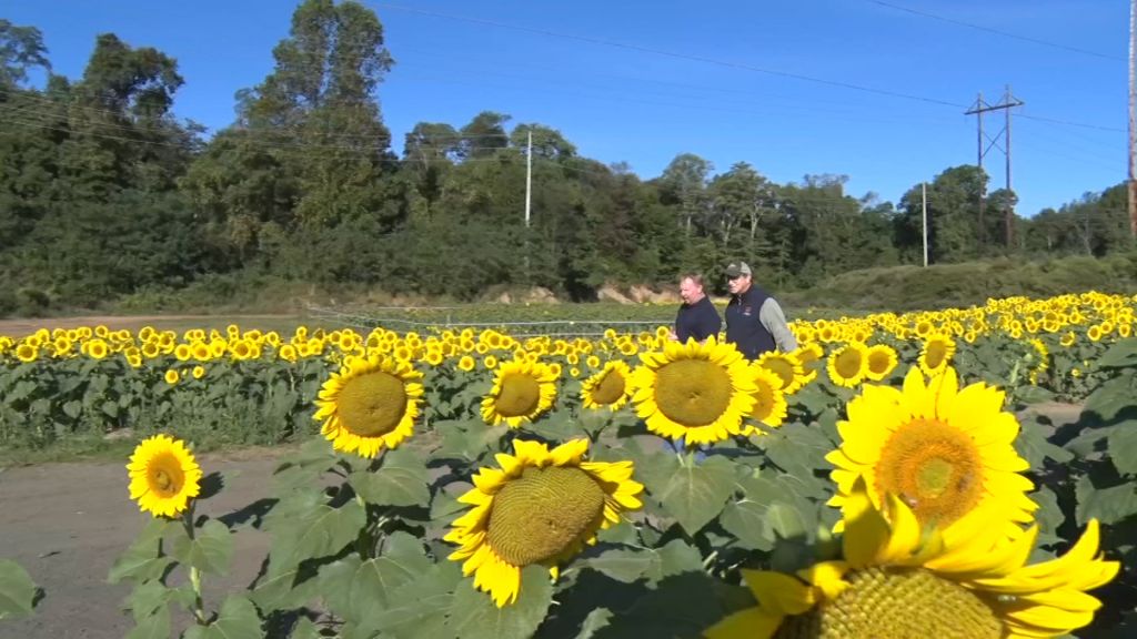Agritourism provides economic boost, fun for the whole family