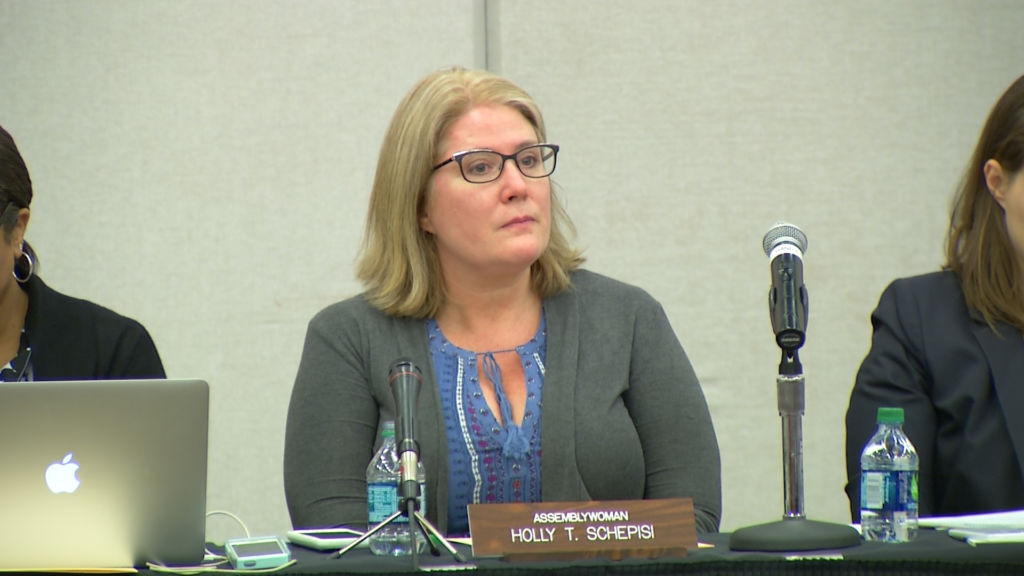 Schepisi discusses school security at joint Education Committee hearing