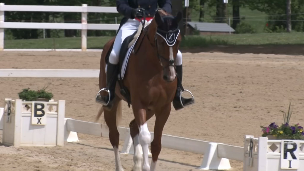 Horse Park of New Jersey hosts Olympic qualifier