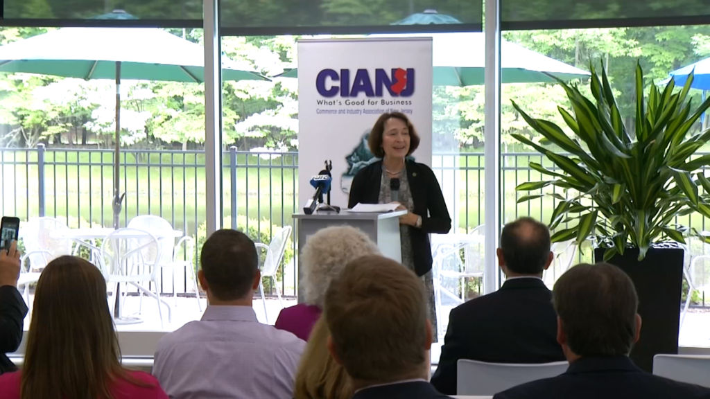 DEP commissioner lays out green agenda for business leaders