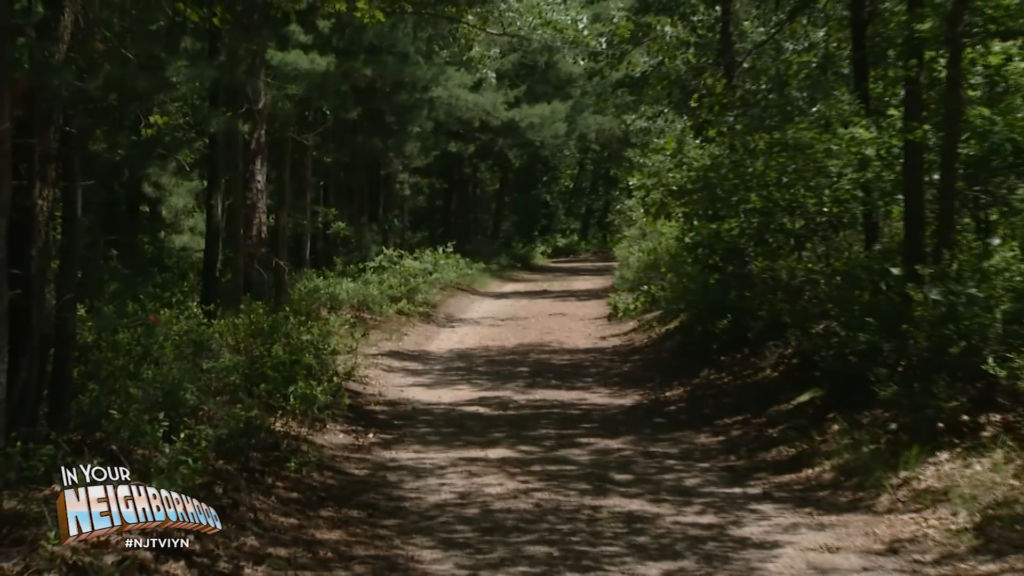 Visiting NJ’s state parks: From the Pinelands to the Isle of Hope