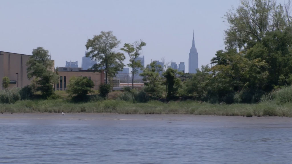Opposition mounts against proposed gas-fired power plant in the Meadowlands