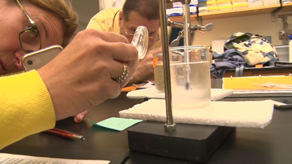 Princeton University offers summer workshop for teachers