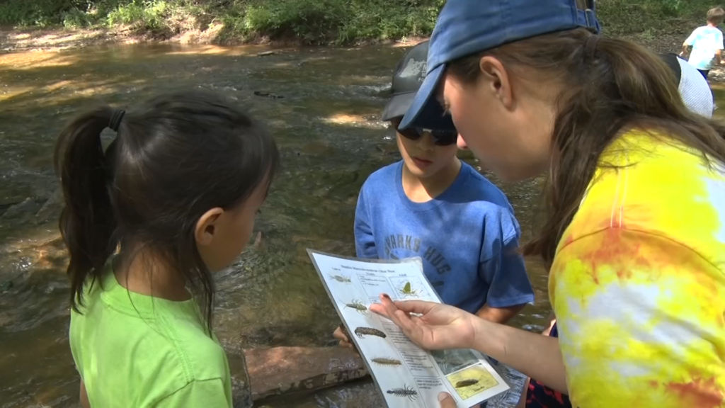 Organization exposes kids to nature to help foster environmentalism