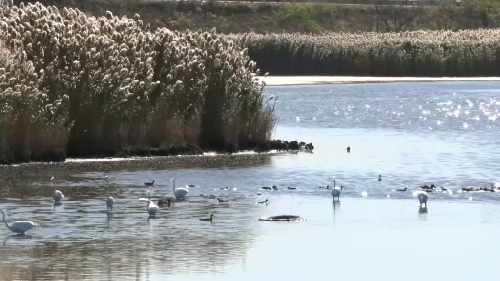 State moves to stabilize Meadowlands tax share program