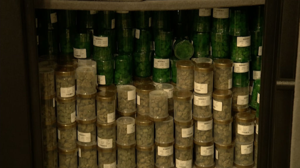 Applicants vie for six new medical marijuana dispensary licenses