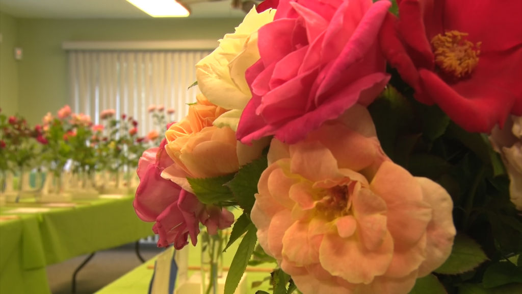 Annual competition a chance to stop and smell the roses
