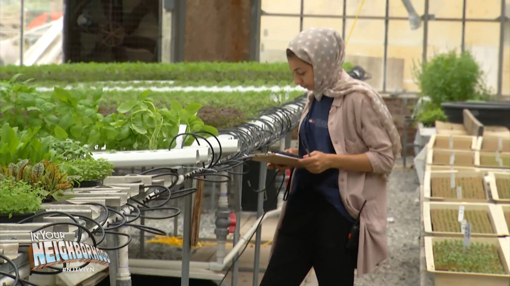 Generation of farmers use alternative techniques to grow crops