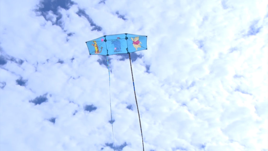 Kite enthusiasts swoop into annual festival in Belmar