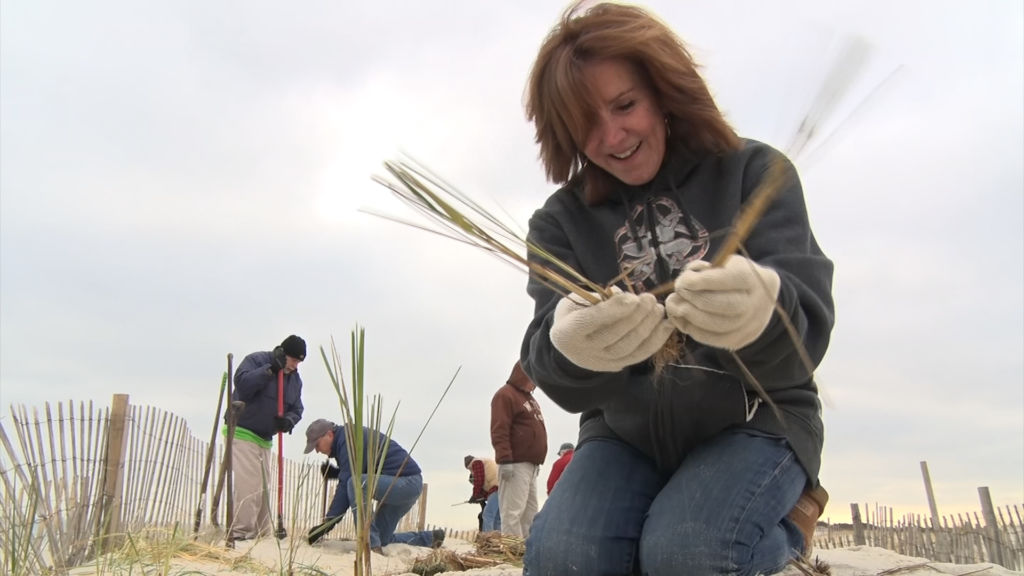 Why is beachgrass so important to the Jersey Shore?