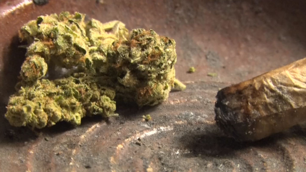 ACLU: NJ marijuana arrests jump about 35% over 4 years