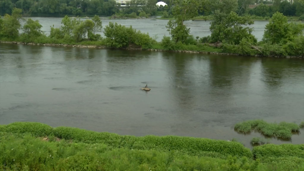 Trenton touts rapid improvement in city’s water quality