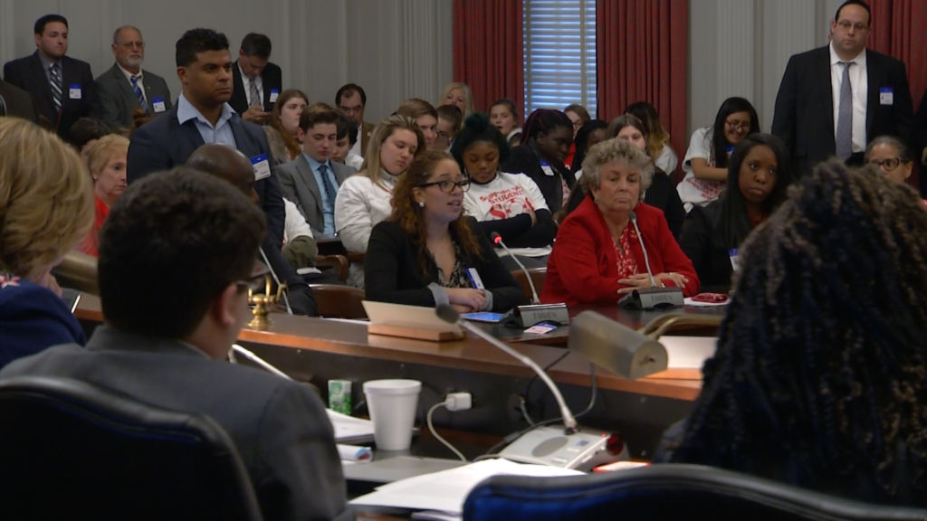 School funding among myriad of issues raised during public budget hearing