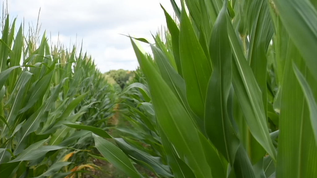 Security seminar discusses preventing agroterrorism in rural South Jersey