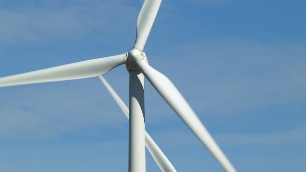 Murphy establishes council on offshore wind
