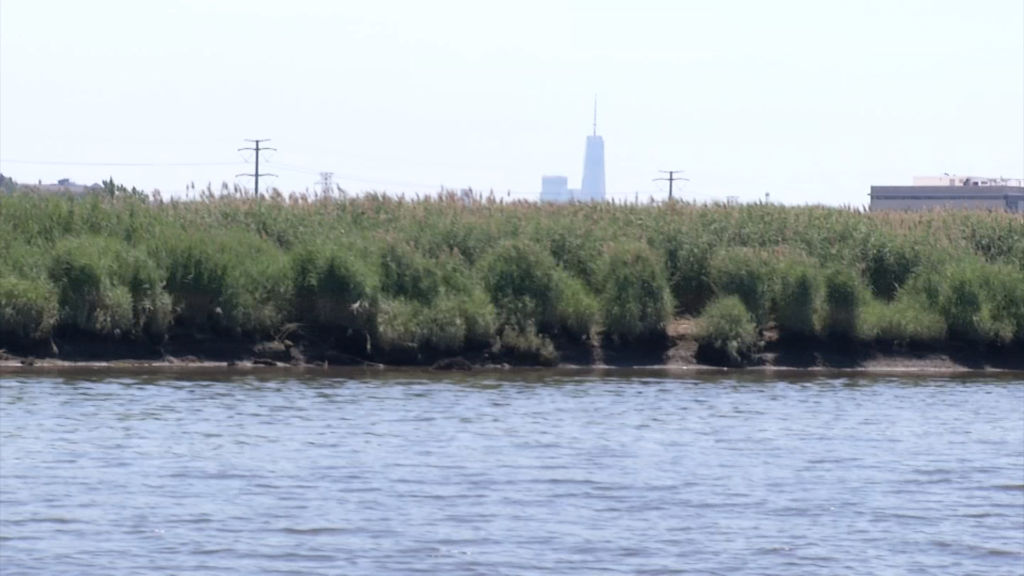 DEP suspends review of controversial Meadowlands power plant’s application