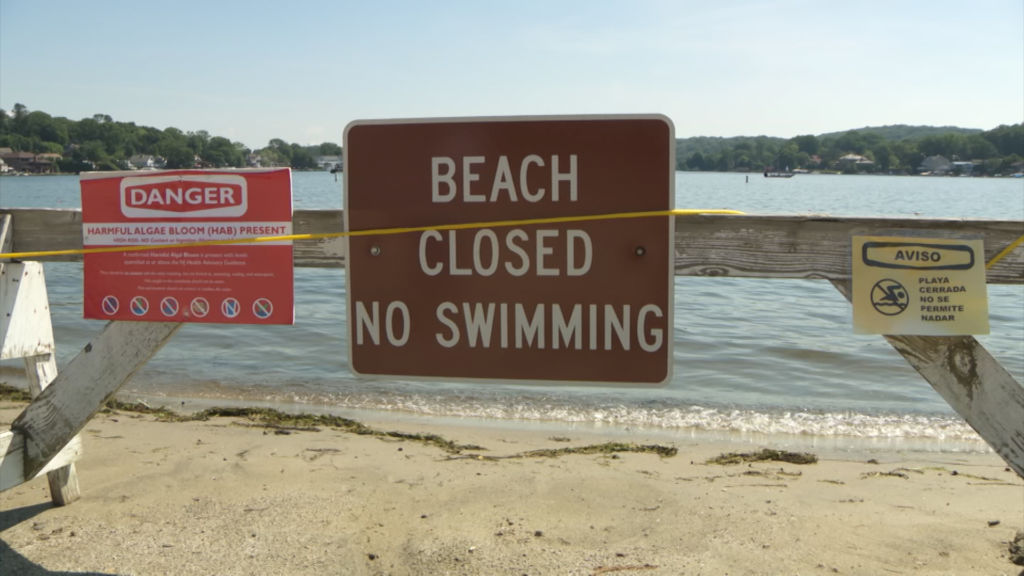 Lake Hopatcong’s algal bloom cuts into businesses’ bottom line